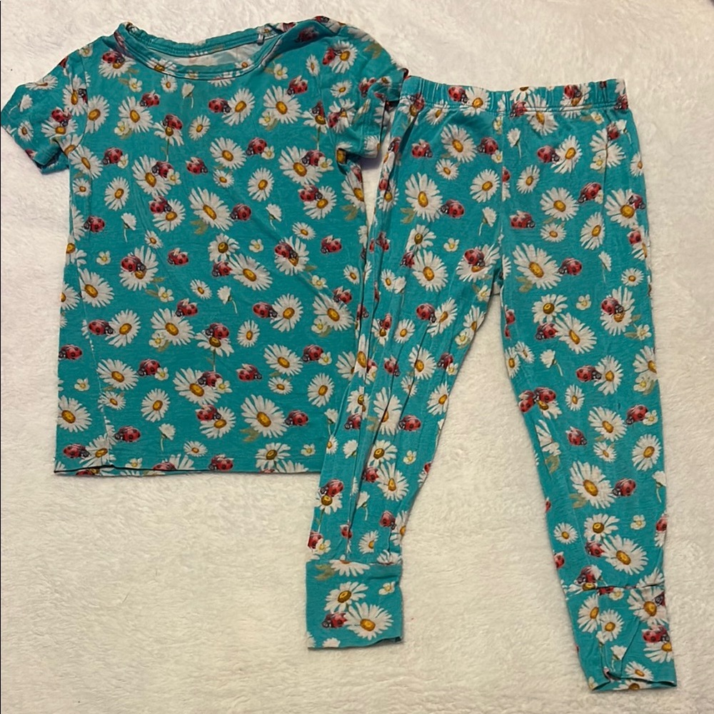 Posh Peanut 2T Short Sleeve Pajama Set in a Ladybug/Daisy Print